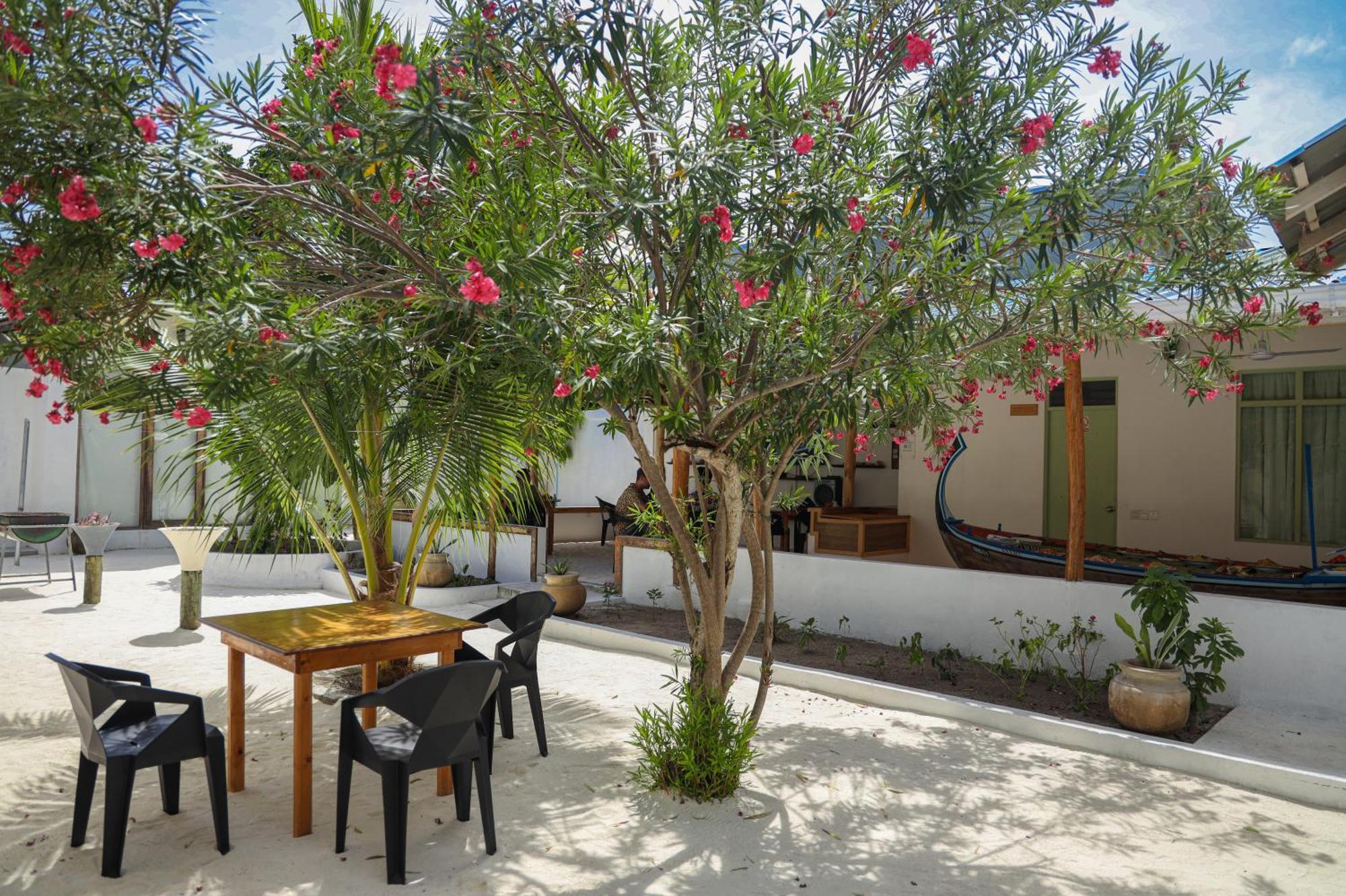 Shifa Lodge Maldives Feridhoo Екстериор снимка