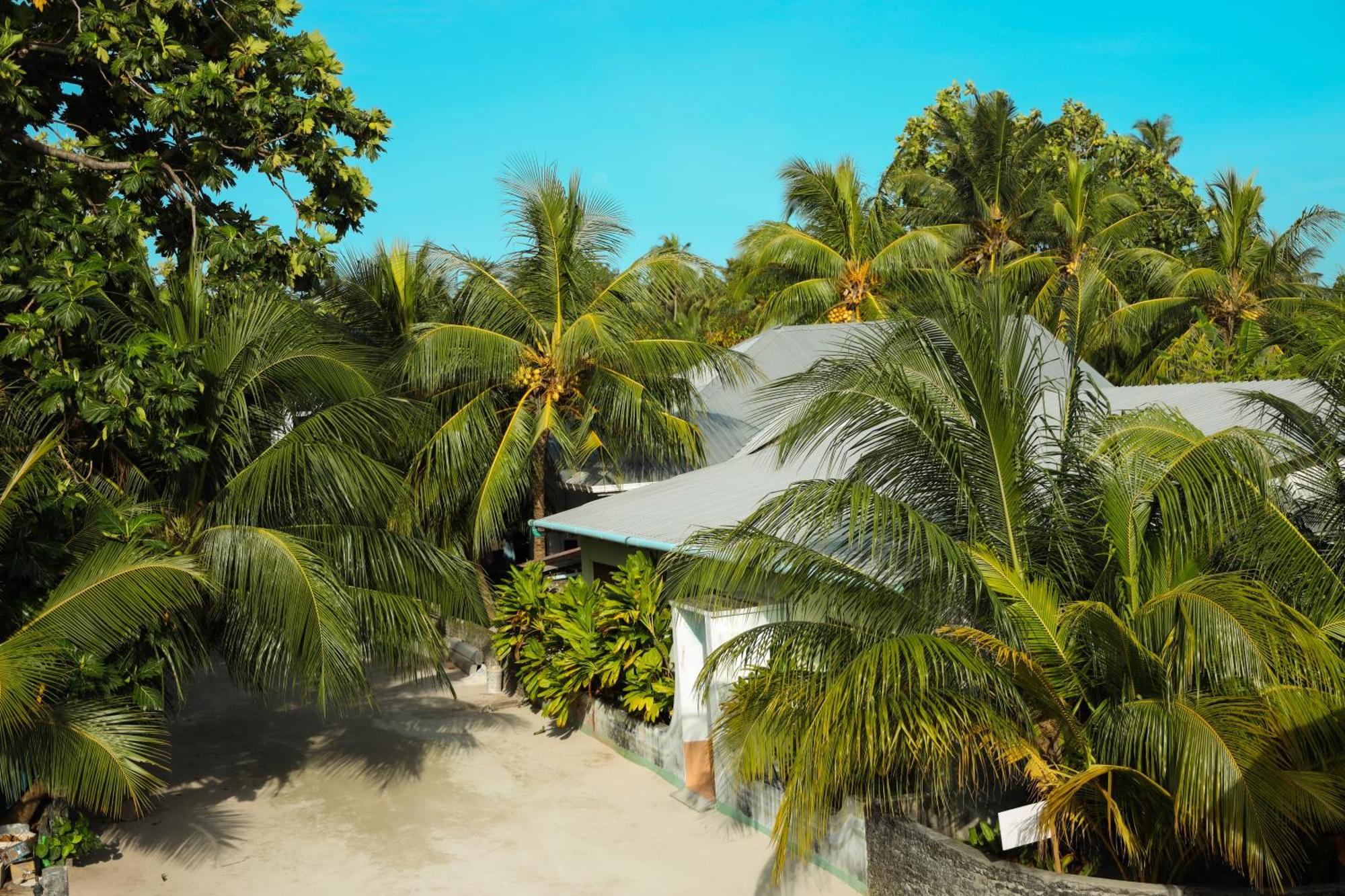 Shifa Lodge Maldives Feridhoo Екстериор снимка