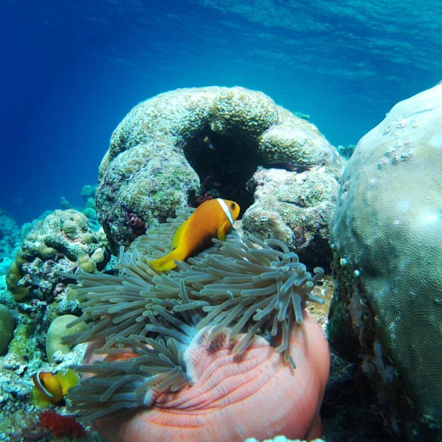 Shifa Lodge Maldives Feridhoo Екстериор снимка