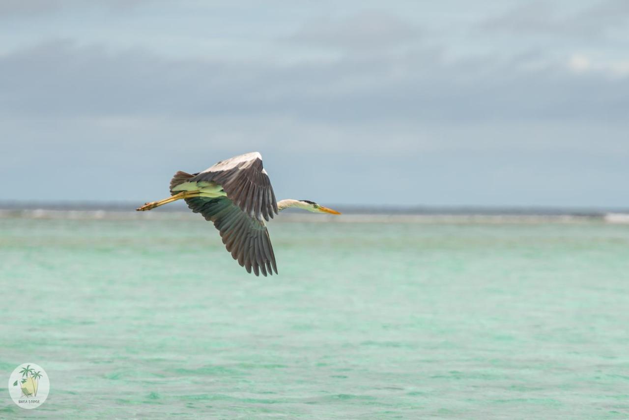 Shifa Lodge Maldives Feridhoo Екстериор снимка